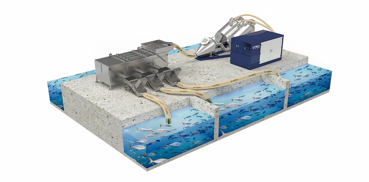 活鱼转运分捡、计数解决方案